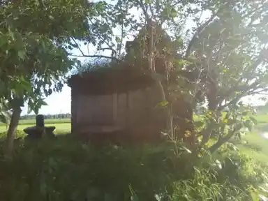 Arulmigu Parithabamthiriththa Vinayagar Temple, Pullamankalam - 610204 பரிதாபம்தீர்த்த வினாயகர் திருக்கோயில், புல்லமங்கலம் - 610204, Thiruvarur - Ancient Temple Architecture and History Image 2