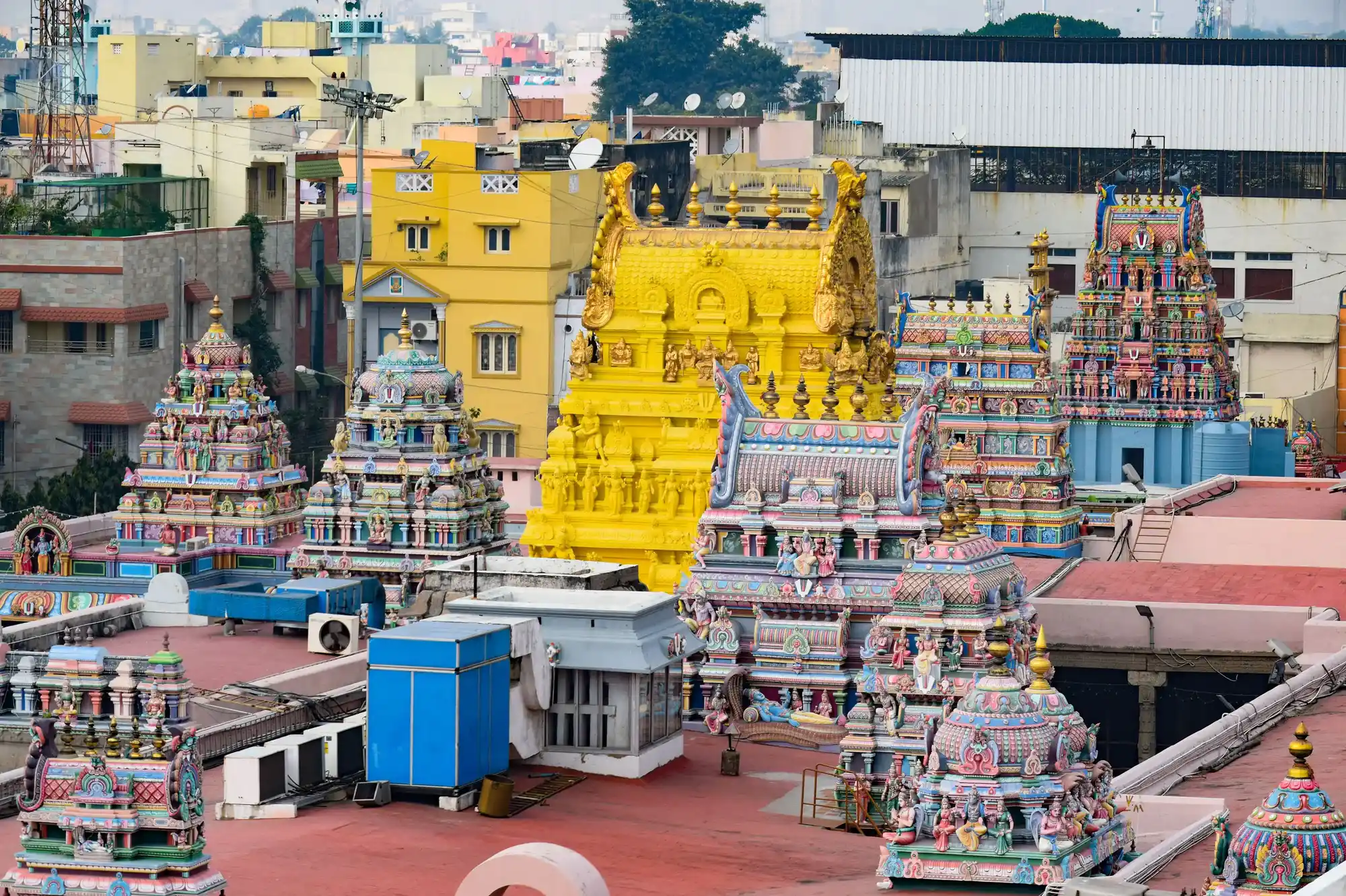 Arulmigu Parthasarathy Swamy Temple, Triplicane, Chennai - 600005 அருள்மிகு பார்த்தசாரதி சுவாமி திருக்கோயில், திருவல்லிக்கேணி, சென்னை - 600005, Chennai - Ancient Temple Architecture and History Image 4