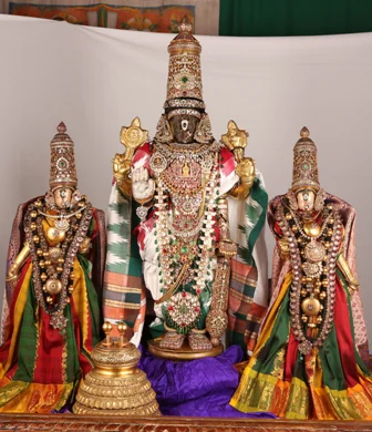 அருள்மிகு பார்த்தசாரதி சுவாமி திருக்கோயில், திருவல்லிக்கேணி, சென்னை - 600005