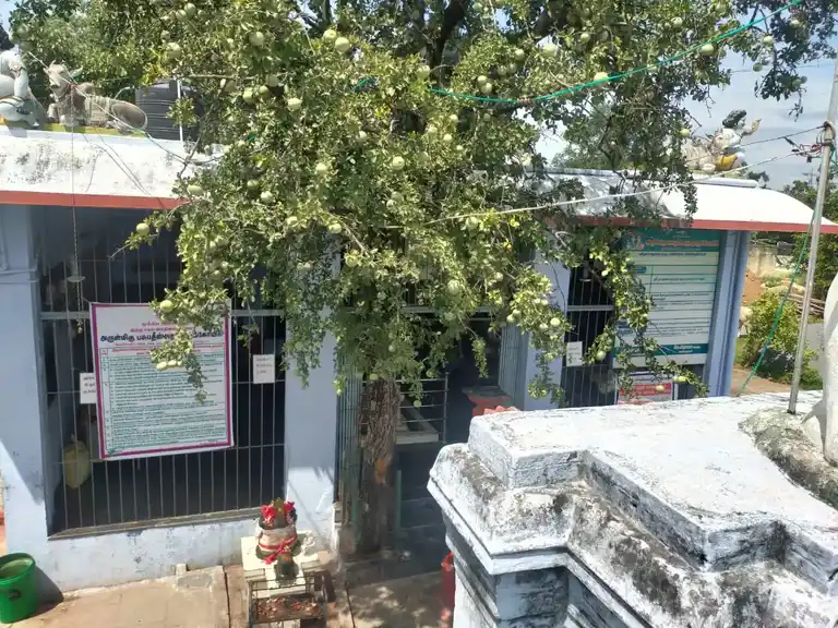 Arulmigu Pasupateeswarar Temple, Mechcheri - 636453 அருள்மிகு பசுபதீஸ்வரர் திருக்கோயில், மேச்சேரி, மேச்சேரி - 636453, Salem - Ancient Temple Architecture and History Image 3