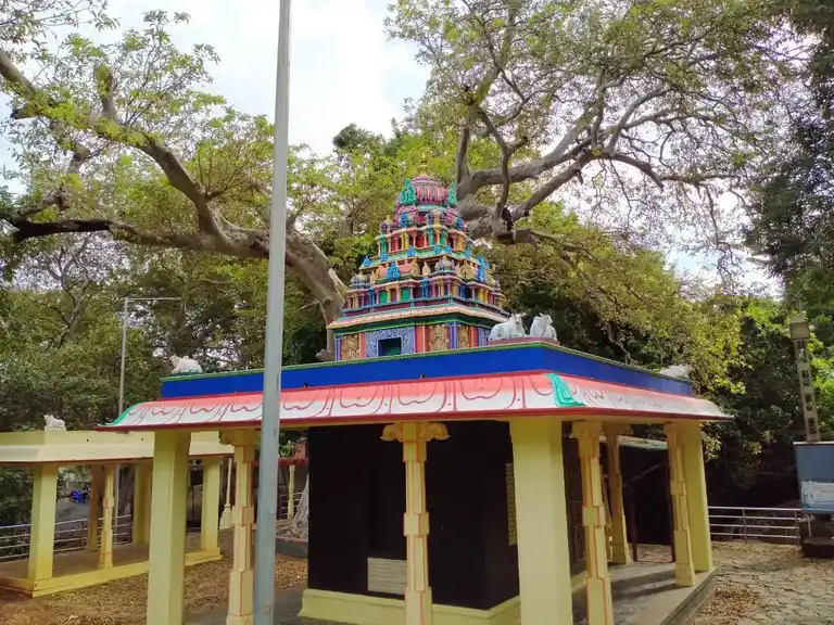 Arulmigu Pasupatha Sastha Temple, Courtallam - 627802 Arulmigu Pasupatha Sastha Temple, Courtallam - 627802, Tenkasi - Ancient Temple Architecture and History Image 8