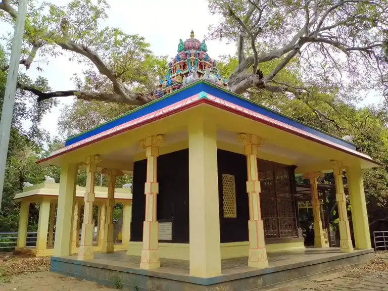 Arulmigu Pasupatha Sastha Temple, Courtallam - 627802 Arulmigu Pasupatha Sastha Temple, Courtallam - 627802, Tenkasi - Ancient Temple Architecture and History Image 9