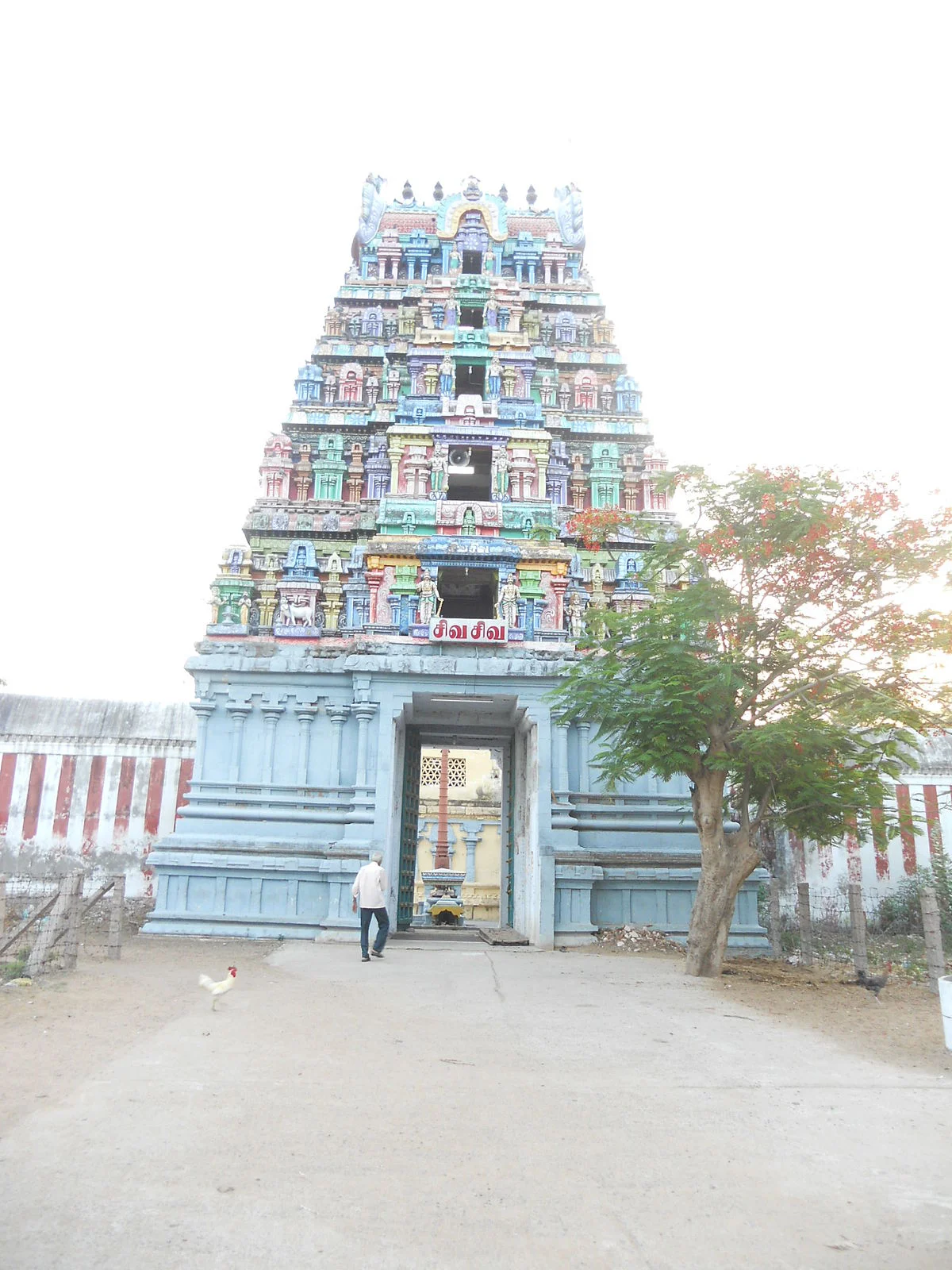 அருள்மிகு பசுபதீஸ்வரர் திருக்கோயில், ஆவூர் - 612701 - Main View