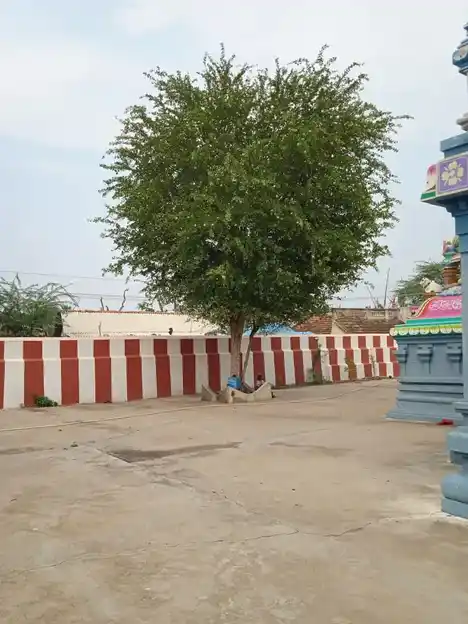 Arulmigu Pasupatheeswarar Temple, Karaikuruchi - 612904 அருள்மிகு பசுபதீஸ்வரர் திருக்கோயில், Karaikuruchi - 612904, Ariyalur - Ancient Temple Architecture and History Image 3