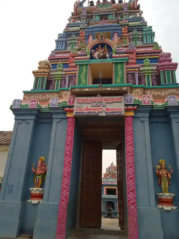 Arulmigu Pasupatheeswarar Temple, Karaikuruchi - 612904 அருள்மிகு பசுபதீஸ்வரர் திருக்கோயில், Karaikuruchi - 612904, Ariyalur - Ancient Temple Architecture and History Image 6