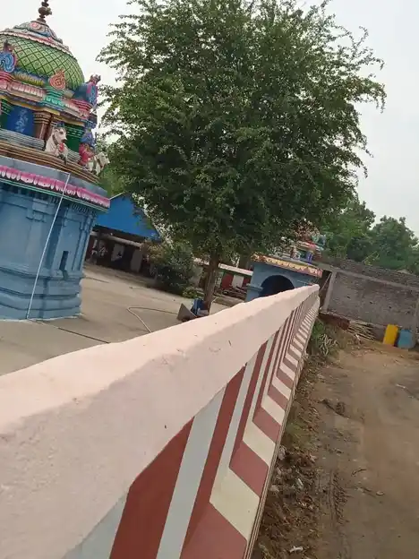 Arulmigu Pasupatheeswarar Temple, Karaikuruchi - 612904 அருள்மிகு பசுபதீஸ்வரர் திருக்கோயில், Karaikuruchi - 612904, Ariyalur - Ancient Temple Architecture and History Image 7