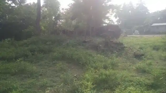 Arulmigu Pasupatheeswarar Temple, Perur - 608701 அருள்மிகு பசுபதீஸ்வரர் திருக்கோயில், Perur - 608701, Cuddalore - Ancient Temple Architecture and History Image 2