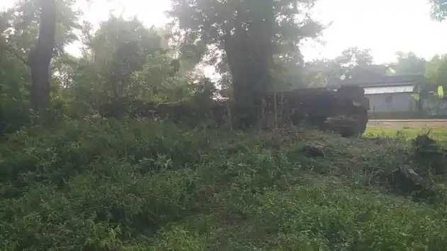 Arulmigu Pasupatheeswarar Temple, Perur - 608701 அருள்மிகு பசுபதீஸ்வரர் திருக்கோயில், Perur - 608701, Cuddalore - Ancient Temple Architecture and History Image 3