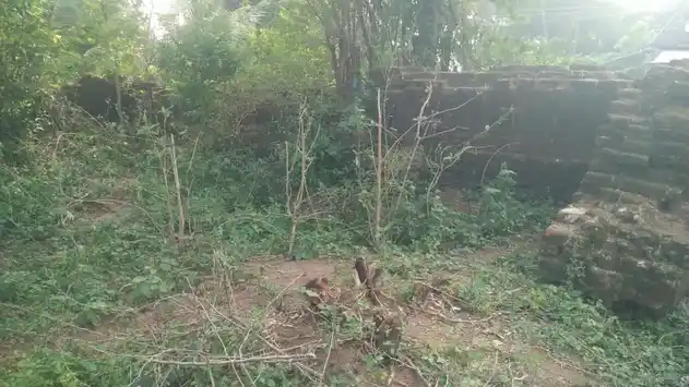 Arulmigu Pasupatheeswarar Temple, Perur - 608701 அருள்மிகு பசுபதீஸ்வரர் திருக்கோயில், Perur - 608701, Cuddalore - Ancient Temple Architecture and History Image 4