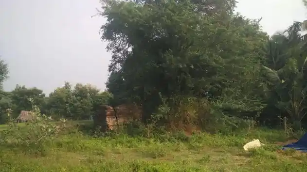 Arulmigu Pasupatheeswarar Temple, Perur - 608701 அருள்மிகு பசுபதீஸ்வரர் திருக்கோயில், Perur - 608701, Cuddalore - Ancient Temple Architecture and History Image 5