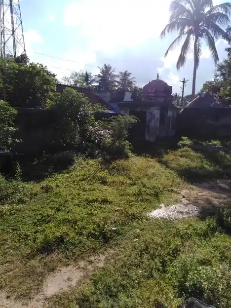 Arulmigu Pasupatheeswarar Temple, Vadakupattam - 612804 Arulmigu Pasupatheeswarar Temple, Vadakupattam - 612804, Thiruvarur - Ancient Temple Architecture and History Image 5