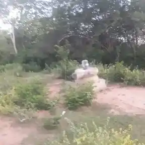 Arulmigu Pasupatheeswarar Temple, Vanakkankadu, Karambakudi Taluk - 622302