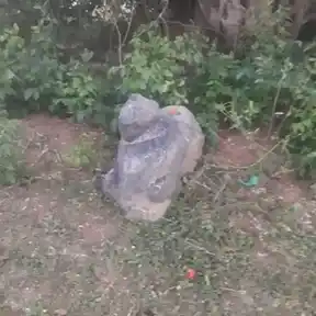 Arulmigu Pasupatheeswarar Temple, Vanakkankadu, Karambakudi Taluk - 622302 அருள்மிகு பசுபதீஸ்வரர் திருக்கோயில், வாணக்கங்காடு, கறம்பக்குடி வட்டம் - 622302, Pudukkottai - Ancient Temple Architecture and History Image 2