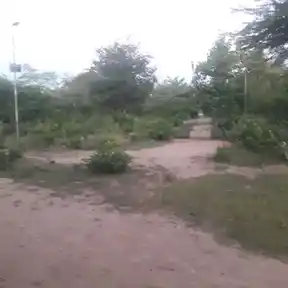 Arulmigu Pasupatheeswarar Temple, Vanakkankadu, Karambakudi Taluk - 622302 அருள்மிகு பசுபதீஸ்வரர் திருக்கோயில், வாணக்கங்காடு, கறம்பக்குடி வட்டம் - 622302, Pudukkottai - Ancient Temple Architecture and History Image 3