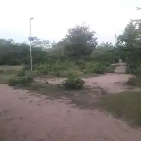 Arulmigu Pasupatheeswarar Temple, Vanakkankadu, Karambakudi Taluk - 622302 அருள்மிகு பசுபதீஸ்வரர் திருக்கோயில், வாணக்கங்காடு, கறம்பக்குடி வட்டம் - 622302, Pudukkottai - Ancient Temple Architecture and History Image 4