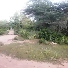 Arulmigu Pasupatheeswarar Temple, Vanakkankadu, Karambakudi Taluk - 622302 அருள்மிகு பசுபதீஸ்வரர் திருக்கோயில், வாணக்கங்காடு, கறம்பக்குடி வட்டம் - 622302, Pudukkottai - Ancient Temple Architecture and History Image 5