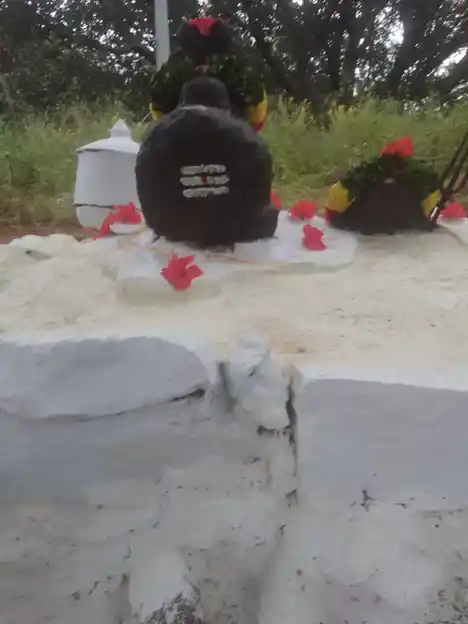 Arulmigu Pasuvannaswamy (Ambaina Madam) Temple, Jakkasamuthiram, Jittandahalli - 636805