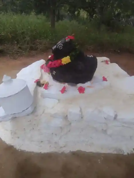 Arulmigu Pasuvannaswamy (Ambaina Madam) Temple, Jakkasamuthiram, Jittandahalli - 636805 அருள்மிகு பசுவண்ணசாமி திருக்கோயில், Jakkasamuthiram, Jittandahalli - 636805, Dharmapuri - Ancient Temple Architecture and History Image 3