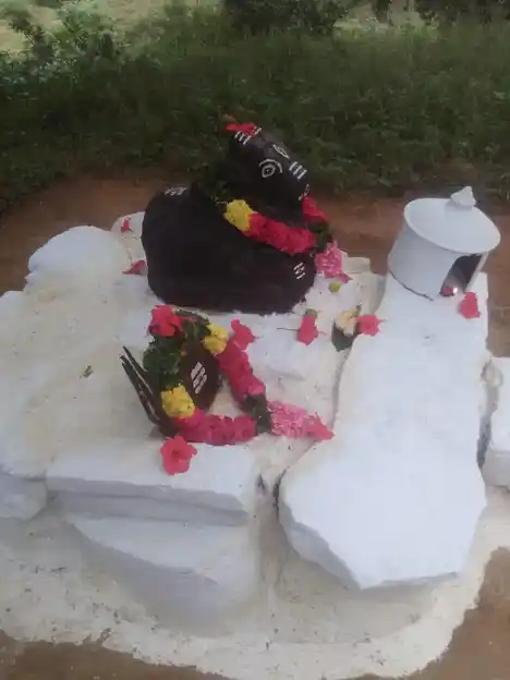 Arulmigu Pasuvannaswamy (Ambaina Madam) Temple, Jakkasamuthiram, Jittandahalli - 636805 அருள்மிகு பசுவண்ணசாமி திருக்கோயில், Jakkasamuthiram, Jittandahalli - 636805, Dharmapuri - Ancient Temple Architecture and History Image 4