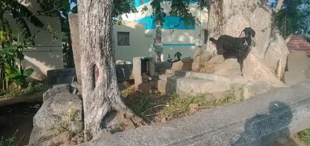 Arulmigu Pasuvannaswamy @ Pasuveshwarar Temple, Kudhalahallli, Kattampatti - 636808 அருள்மிகு பசுவண்ணசாமி திருக்கோயில், Kudhalahallli, Kattampatti - 636808, Dharmapuri - Ancient Temple Architecture and History Image 3