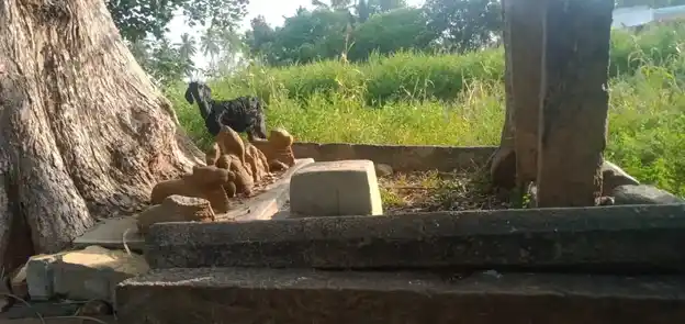 Arulmigu Pasuvannaswamy @ Pasuveshwarar Temple, Kudhalahallli, Kattampatti - 636808 அருள்மிகு பசுவண்ணசாமி திருக்கோயில், Kudhalahallli, Kattampatti - 636808, Dharmapuri - Ancient Temple Architecture and History Image 4