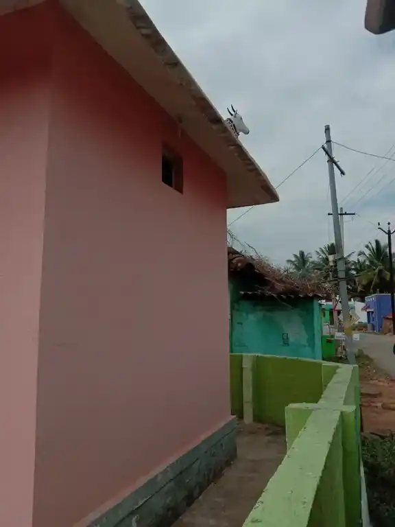 Arulmigu Pasuveshwara Temple, Marur - 638052 அருள்மிகு பசுவேஸ்வரர் திருக்கோயில், Marur - 638052, Erode - Ancient Temple Architecture and History Image 4