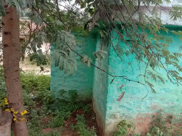 Arulmigu Pasuveswarar Temple, Alasapalli - 635103 Temple