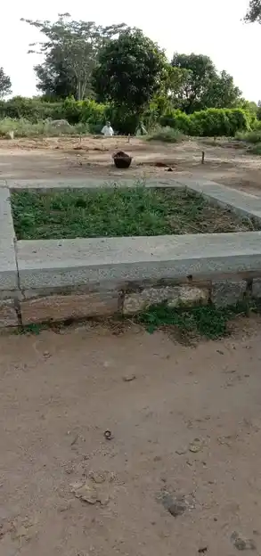 Arulmigu Pasuveswarar Temple, B.S.Thimmasandiram - 635105 Arulmigu Pasuveswarar Temple, B.S.Thimmasandiram - 635105, Krishnagiri - Ancient Temple Architecture and History Image 2