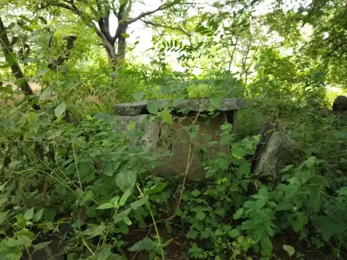 Arulmigu Pasuveswarar Temple, Karadihalli - 635204 Temple