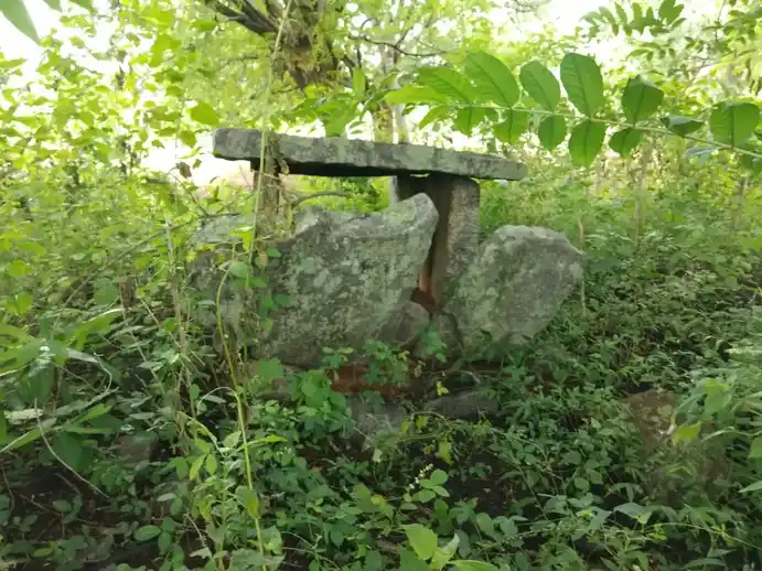 Arulmigu Pasuveswarar Temple, Karadihalli - 635204 அருள்மிகு பசுவேஸ்வரர் திருக்கோயில், கரடிஹள்ளி - 635204, Krishnagiri - Ancient Temple Architecture and History Image 2