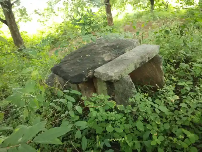 Arulmigu Pasuveswarar Temple, Karadihalli - 635204 அருள்மிகு பசுவேஸ்வரர் திருக்கோயில், கரடிஹள்ளி - 635204, Krishnagiri - Ancient Temple Architecture and History Image 4