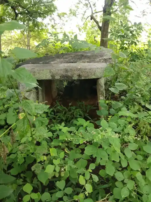 Arulmigu Pasuveswarar Temple, Karadihalli - 635204 அருள்மிகு பசுவேஸ்வரர் திருக்கோயில், கரடிஹள்ளி - 635204, Krishnagiri - Ancient Temple Architecture and History Image 5