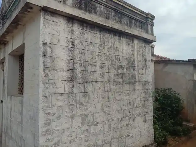 Arulmigu Pasuveswarar Temple, Mathigiri, Nagondapalli - 635110 அருள்மிகு பசுவேஸ்வரர் திருக்கோயில், Mathigiri, Nagondapalli - 635110, Krishnagiri - Ancient Temple Architecture and History Image 3