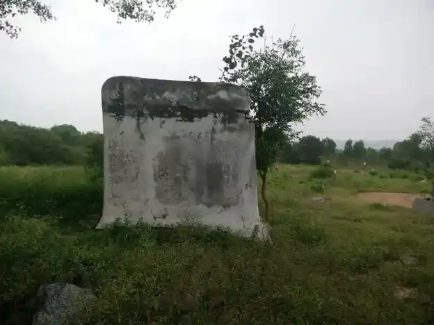 Arulmigu Pasuveswarar Temple, Veppanappalli, Boothimudlu - 635121 Temple