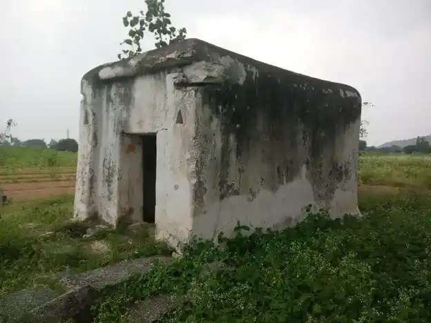 Arulmigu Pasuveswarar Temple, Veppanappalli, Boothimudlu - 635121 அருள்மிகு பசுவேஸ்வர சுவாமி திருக்கோயில், Veppanappalli, Boothimudlu - 635121, Krishnagiri - Ancient Temple Architecture and History Image 2