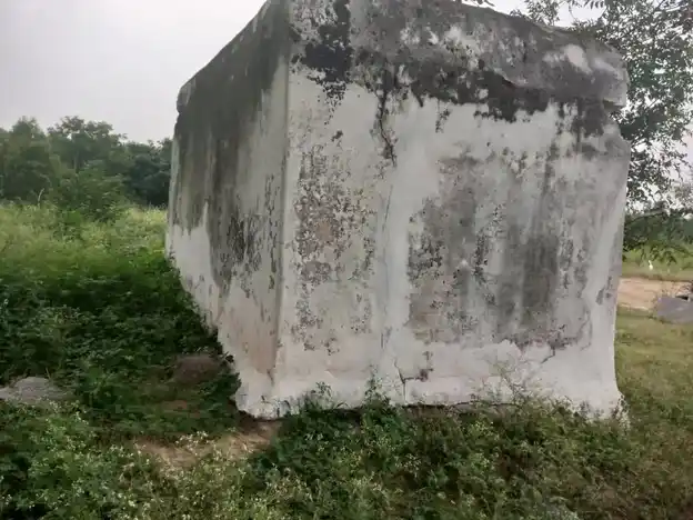 Arulmigu Pasuveswarar Temple, Veppanappalli, Boothimudlu - 635121 அருள்மிகு பசுவேஸ்வர சுவாமி திருக்கோயில், Veppanappalli, Boothimudlu - 635121, Krishnagiri - Ancient Temple Architecture and History Image 3