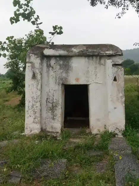 Arulmigu Pasuveswarar Temple, Veppanappalli, Boothimudlu - 635121 அருள்மிகு பசுவேஸ்வர சுவாமி திருக்கோயில், Veppanappalli, Boothimudlu - 635121, Krishnagiri - Ancient Temple Architecture and History Image 4