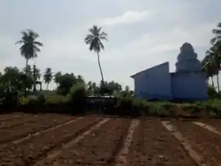 Arulmigu Pasuveswaraswamy Temple, Mudukkanthurai - 638451 Temple