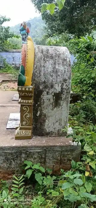 Arulmigu Patathalachiyamman Temple, Elamanam - 621307 Arulmigu Patathalachiyamman Temple, Elamanam - 621307, Thiruchirappalli - Ancient Temple Architecture and History Image 3