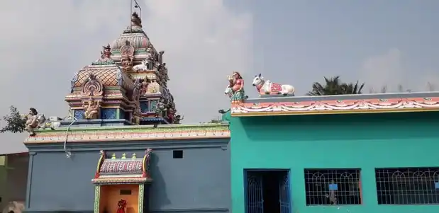Arulmigu Patchaivazhi Amman Temple, Karaikadu - 607003 அருள்மிகு பச்சைவாழியம்மன் திருக்கோயில், Karaikadu - 607003, Cuddalore - Ancient Temple Architecture and History Image 9