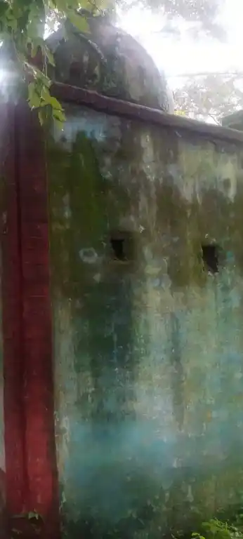 Arulmigu Patchiamman Temple, Saptur - 625705 பச்சைமலையப்பன் சாமி திருக்கோயில், Saptur - 625705, Madurai - Ancient Temple Architecture and History Image 2