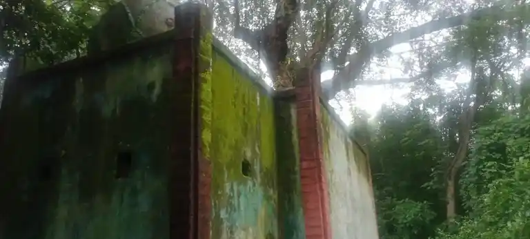 Arulmigu Patchiamman Temple, Saptur - 625705 பச்சைமலையப்பன் சாமி திருக்கோயில், Saptur - 625705, Madurai - Ancient Temple Architecture and History Image 4