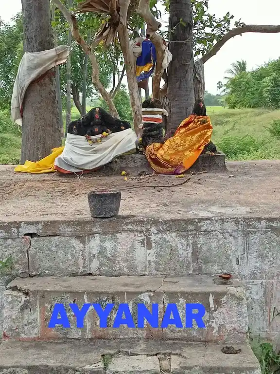 Arulmigu Patha Madai Ayyanar Temple, Ponnakulam - 630561