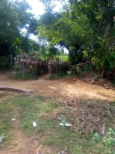 Arulmigu Pathai Karupanna Swamy Temple, Kambilaiyampatti - 624401
