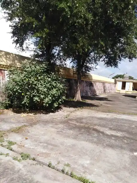 Arulmigu Pathaleshwarar Temple, Haridwaramangalam - 612802 அருள்மிகு பாதாளேஸ்வரர் திருக்கோயில், ஹரித்துவாரமங்களம் - 612802, Thiruvarur - Ancient Temple Architecture and History Image 5