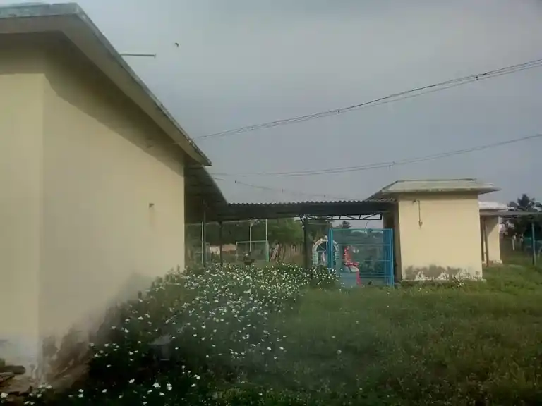 Arulmigu Patharaneswarar Temple, Sithaimur - 610203 Temple