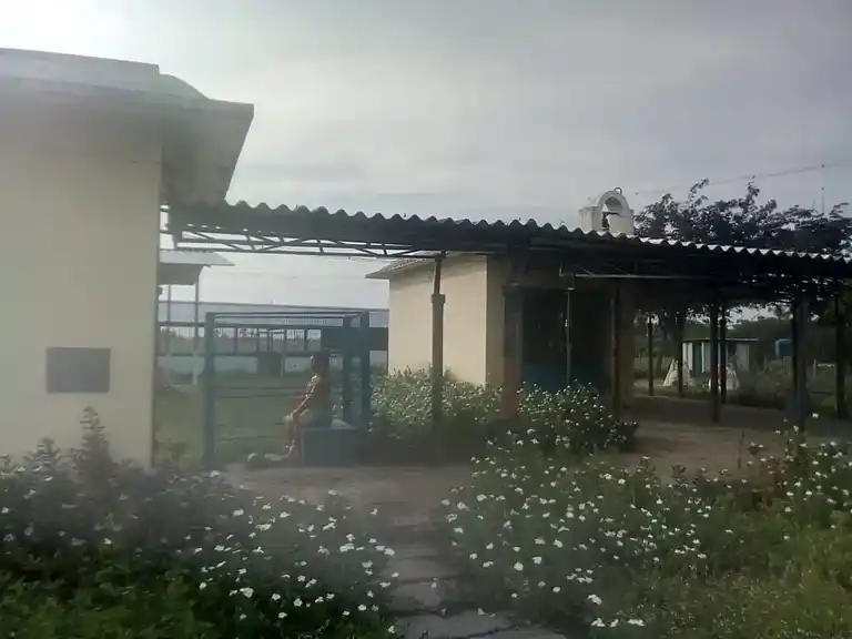 Arulmigu Patharaneswarar Temple, Sithaimur - 610203 அருள்மிகு பெத்தாரண்யேஸ்வரர் திருக்கோயில், Sithaimur - 610203, Nagapattinam - Ancient Temple Architecture and History Image 3