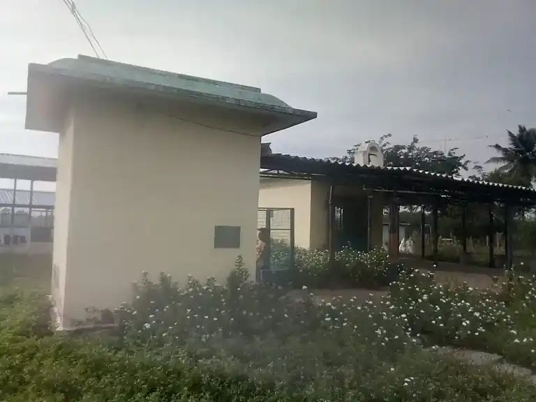 Arulmigu Patharaneswarar Temple, Sithaimur - 610203 அருள்மிகு பெத்தாரண்யேஸ்வரர் திருக்கோயில், Sithaimur - 610203, Nagapattinam - Ancient Temple Architecture and History Image 4