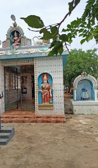 Arulmigu Pathiniyamman Temple, Pudukkottai, Pudukkottai - 622001 அருள்மிகு பத்தினியம்மன் திருக்கோயில், காந்திநகர்6ம் வீதி, புதுக்கோட்டை - 622001, Pudukkottai - Ancient Temple Architecture and History Image 4