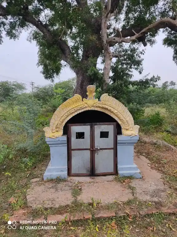 Arulmigu Pathirakaliyamman Temple, Thirukalapur - 621803